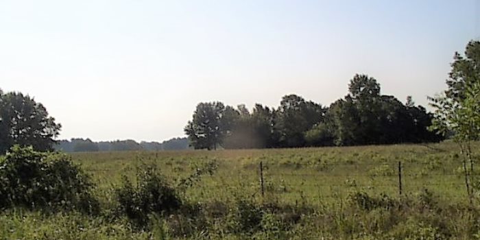 Land View 2